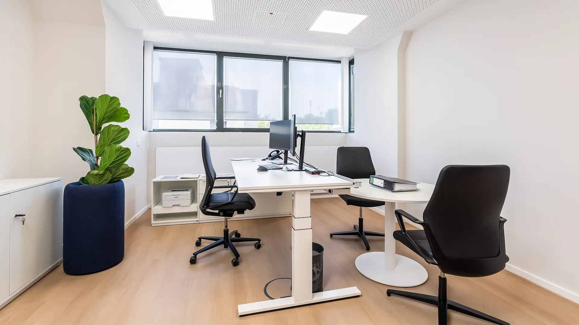 Modern eingerichtetes Einzelbüro mit Schreibtisch, Besucherplätzen und großzügigem Tageslichteinfall.